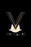 Vermax AI logo